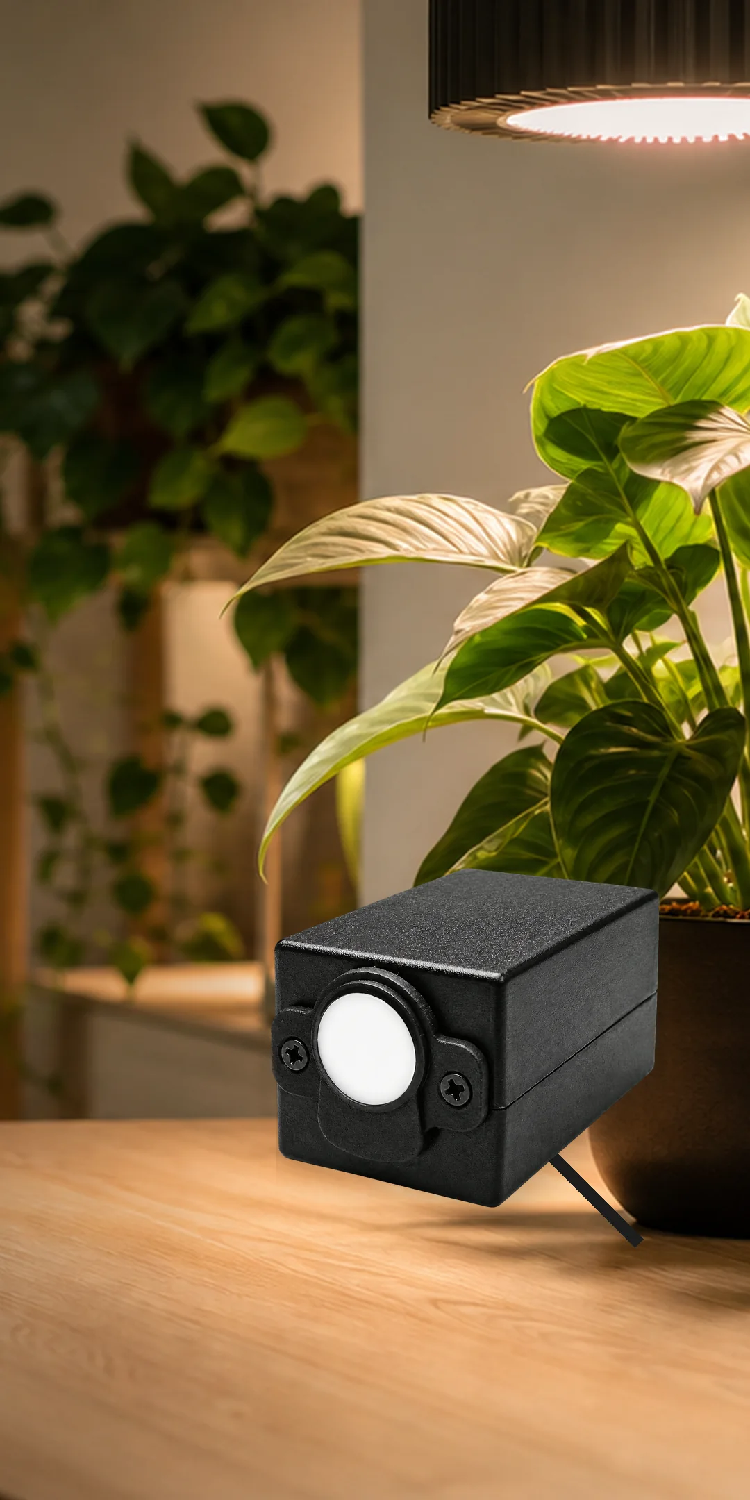 GardPilot plant light meter with mobile reading interface